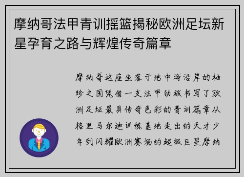摩纳哥法甲青训摇篮揭秘欧洲足坛新星孕育之路与辉煌传奇篇章